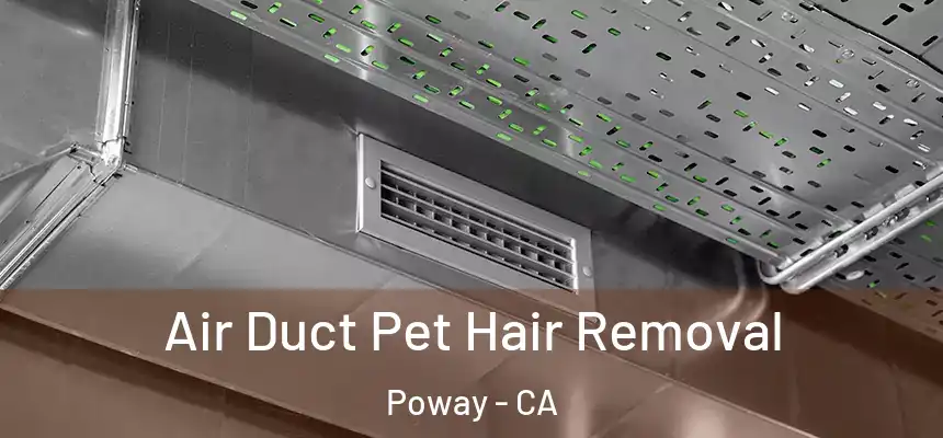  Air Duct Pet Hair Removal Poway - CA