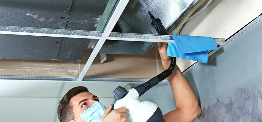 Our Air Duct Rodent Removal Services in Poway, CA