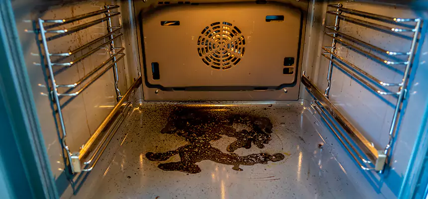 Our Dryer Vent Mold Cleaning Services in Poway, CA