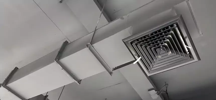 Our Rodent Droppings In Vents Services in Poway, CA