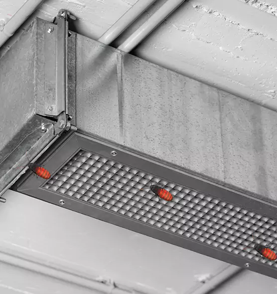 Affordable Insect Removal from Air Ducts in Poway, CA