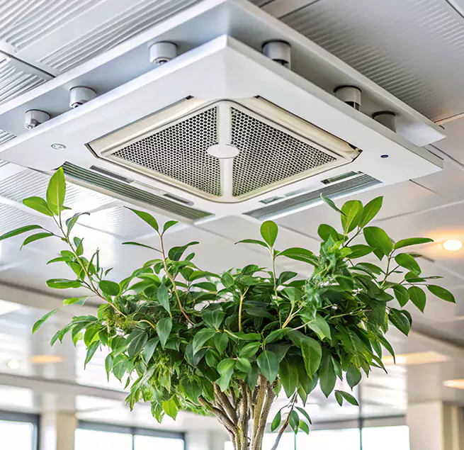 Why Homeowners & Businesses Trust Us in Poway, CA